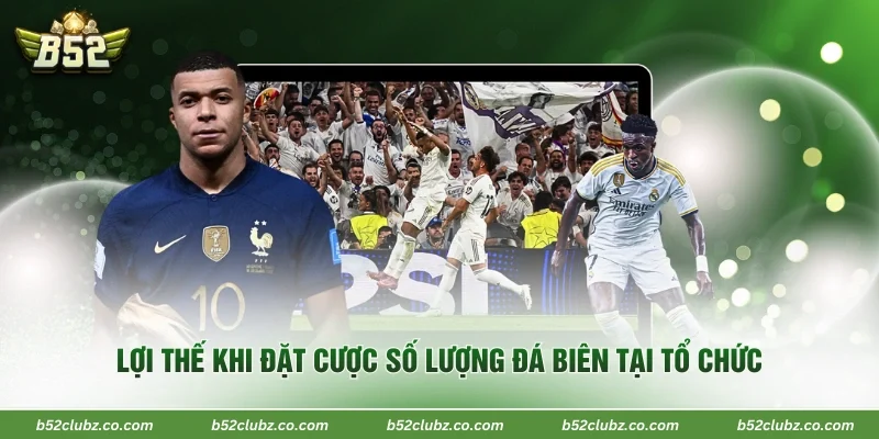 Lợi thế khi đặt cược số lượng đá biên tại tổ chức