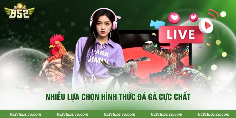 Nhiều lựa chọn hình thức đá gà cực chất